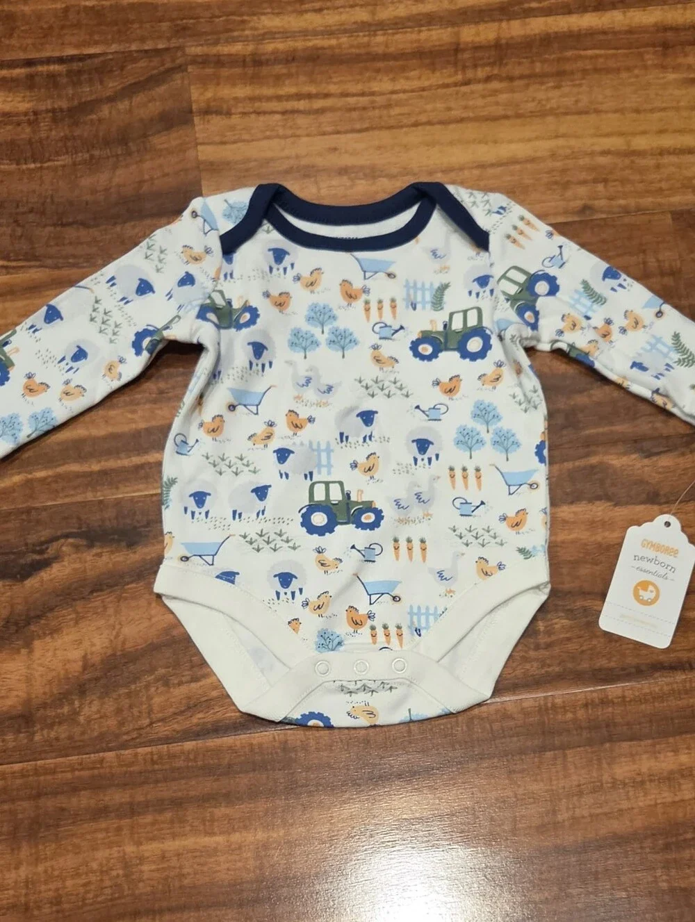 Gymboree nwt months